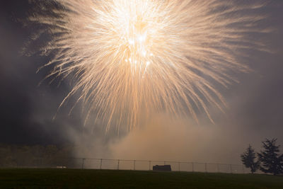 Low angle view of fireworks against sky at night