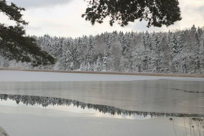 Scenic view of landscape against sky during winter