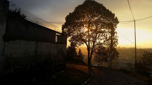 Silhouette trees against sky during sunset