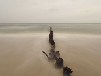 Driftwood on beach against sky