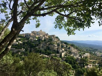 View of townscape by tree against sky