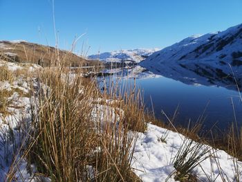 Scenic view of snowcapped mountains against clear blue sky