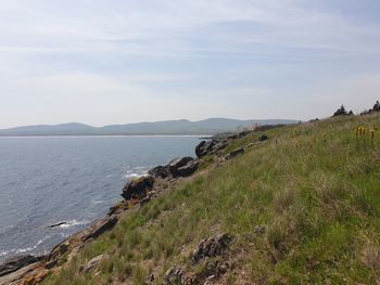 Scenic view of sea against sky