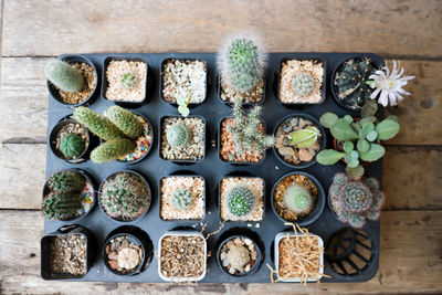 High angle view of various food on table