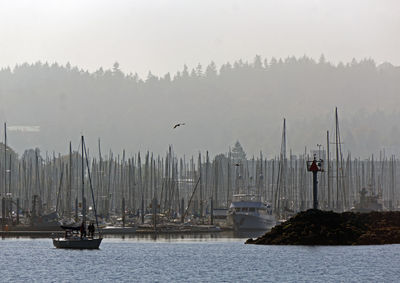 Sailboats in sea against sky and marina