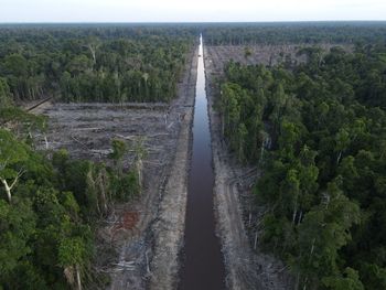 Panoramic shot of road amidst trees in forest against sky