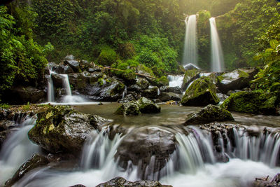 Twin waterfall in the middle of a pine forest in the city of magelang