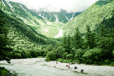 Scenic view of tree mountains