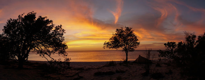 Silhouette trees on beach against sky during sunset