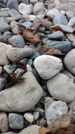 Full frame shot of pebbles