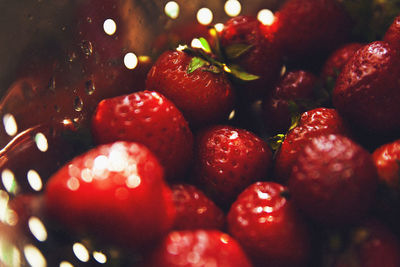 Close-up of strawberries in bowl