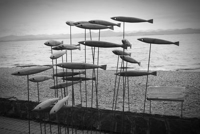 Swans on beach against sky
