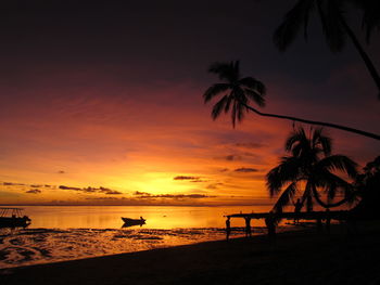 Silhouette of palm trees at sunset