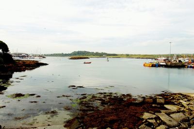 Sailboats moored in bay