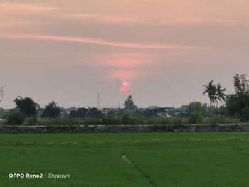 Scenic view of field against sky during sunset