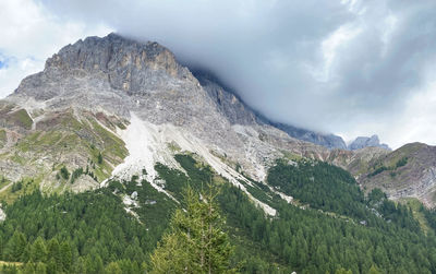 Passo rolle. percorso panoramico in moto da strada