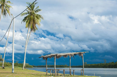 Palm trees on beach against blue sky