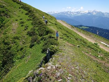 Scenic view of landscape