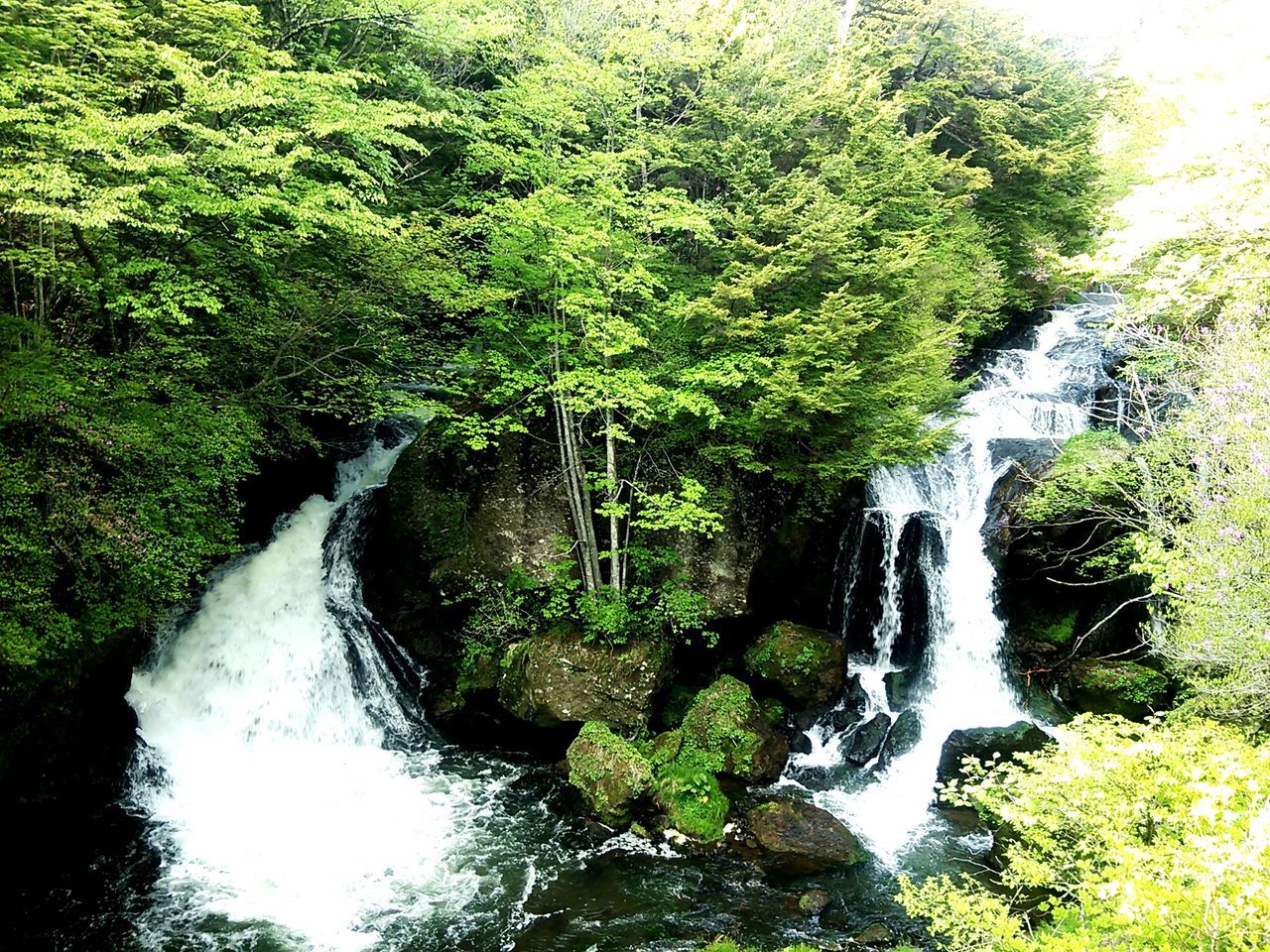 龍頭の滝