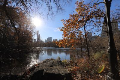 Trees by lake against sky during autumn