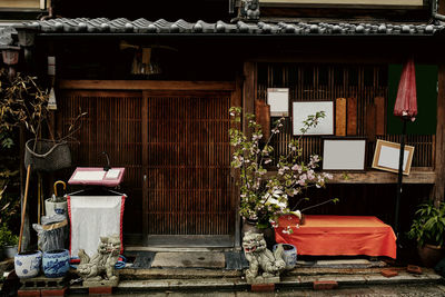 Potted plants on old abandoned building