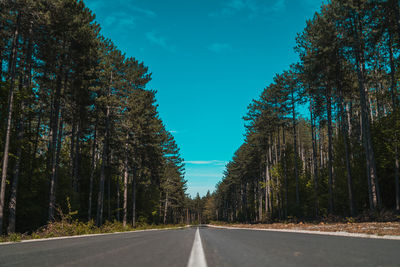 Empty road amidst trees against blue sky