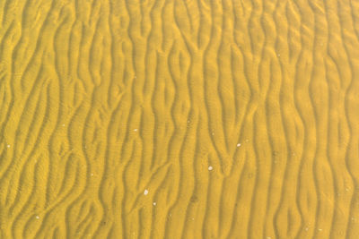 Full frame shot of yellow water on beach