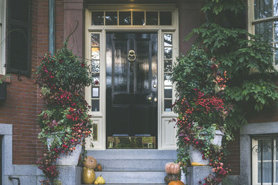 View of an entrance to apartment building. stoop with plants, flowers and pumpkins for thanksgiving