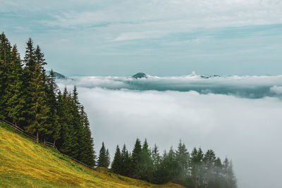 Kitzbühel alps above the clouds , austria.