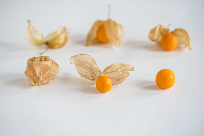 Golden berry,physalis,ciplukan, cape gooseberry