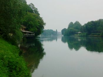 Reflection of trees in lake