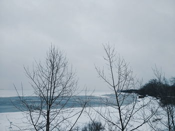 Bare trees against sky during winter