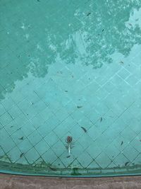 High angle view of swimming pool against wall