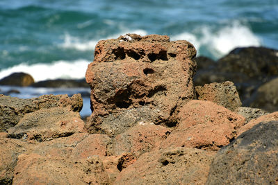 Close-up of rock on beach