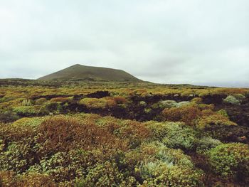 Scenic view of landscape against cloudy sky