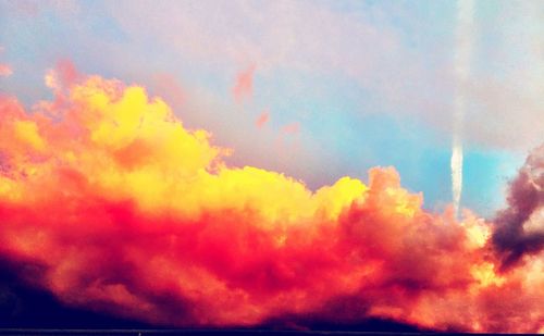 Close-up of multi colored tree against sky