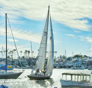 Boats in harbor