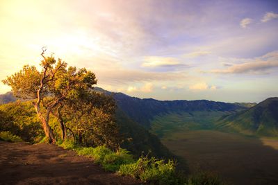 Bromo hill mountain