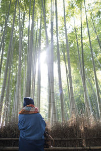 Rear view of woman sitting by tree trunk in forest