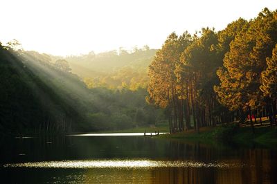 Scenic view of lake by trees against sky