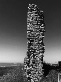 Low angle view of grass against clear sky
