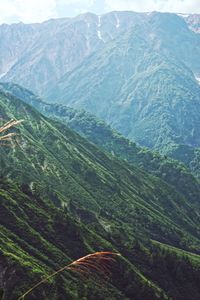 Scenic view of agricultural field and mountains