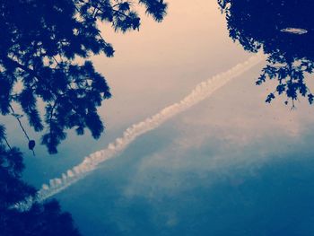 High angle view of trees against sky