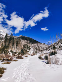 Scenic view of snow covered mountains against sky