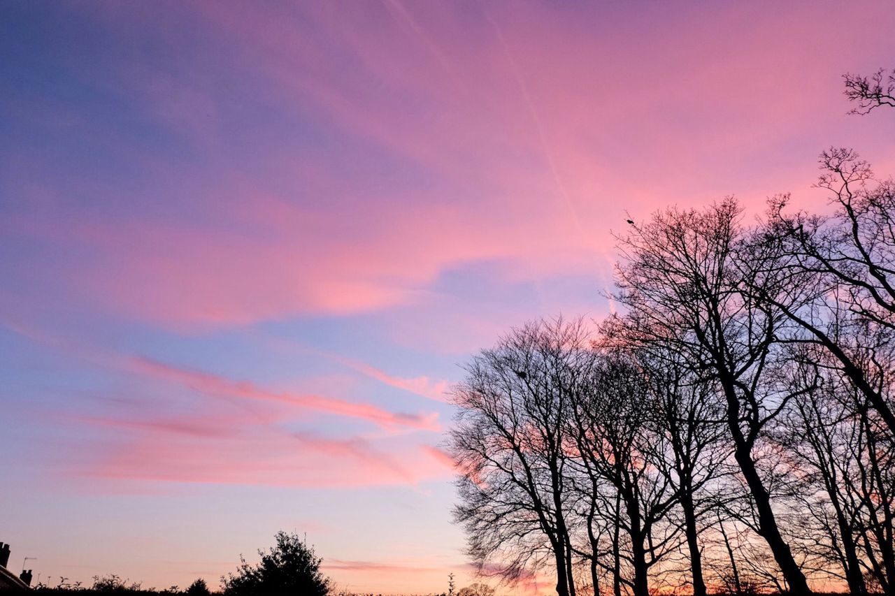 sunset, silhouette, tree, sky, tranquility, scenics, beauty in nature, tranquil scene, orange color, low angle view, nature, bare tree, cloud - sky, branch, idyllic, cloud, dramatic sky, outdoors, no people, dusk