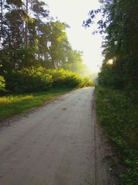 Road amidst trees against sky