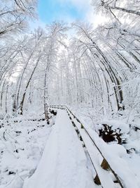 Beautifu winter landscape