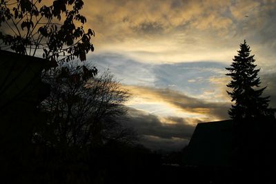 Silhouette of trees against cloudy sky