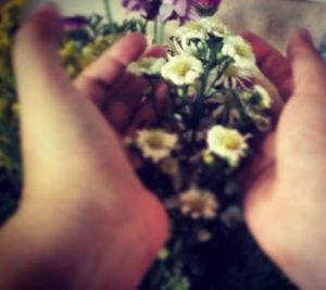 High angle view of young woman holding flower