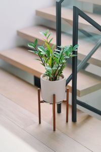 Close-up of potted plant on table at home